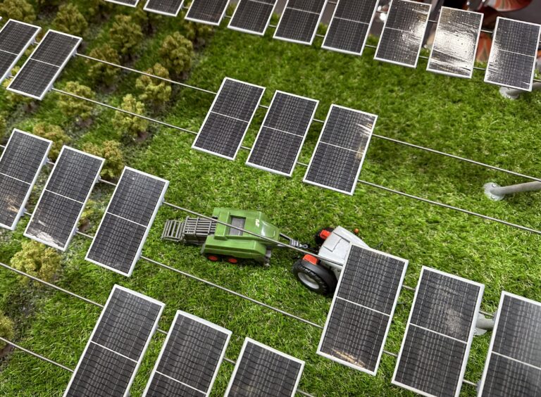onde-a-energia-solar-encontra-o-solo:-o-potencial-multifuncional-da-ecovoltaica-e-da-agrivoltaica