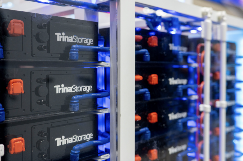 trina-storage-mira-50%-do-mercado-nos-leiloes-de-baterias-e-define-estrategia-de-conteudo-local
