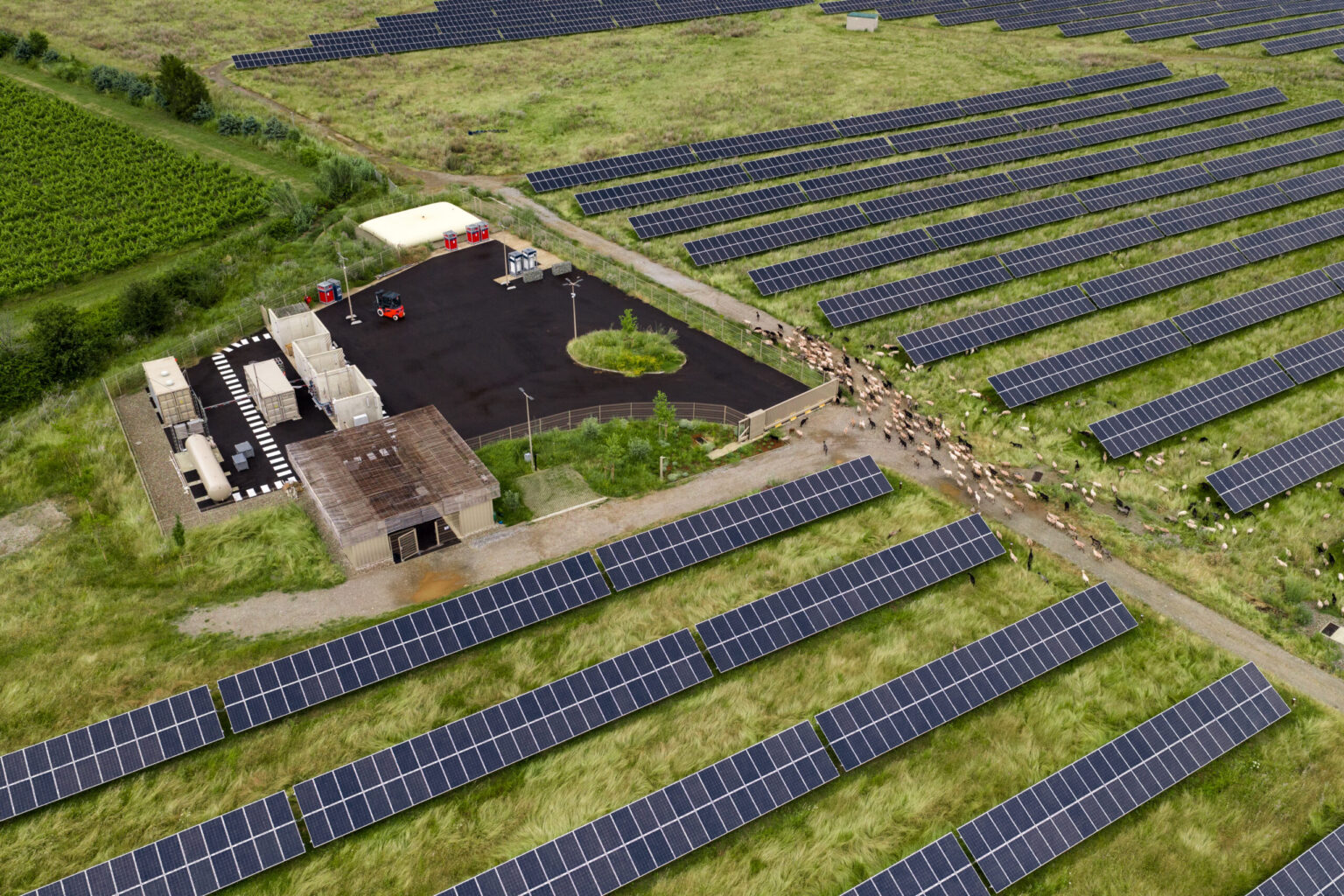 corsica-sole-coloca-em-operacao-eletrolisador-de-150-kw-em-usina-solar-de-12-mw